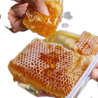 100% Natural Supply High Quality Pure Raw Bee Honey