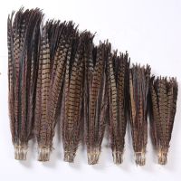 Factory Price Soft ringneck pheasant tail feathers top quality 45-120 cm bulk supplier natural ringneck pheasant tail feather