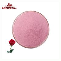 ISO Certification Mangosteen Shell Extract Powder Natural 10:1 Mangosteen Extract