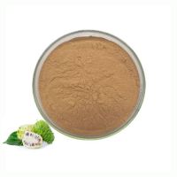 Nutritional Supplement Noni Fruit Extract Powder Natural Raw Material Noni Fruit Extract
