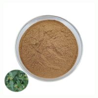 ISO High Quality Fadogia Agrestis Stem Powder Pure Natural Fadogia Agrestis Extract Powder