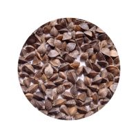 high organic buckwheat high quality buckwheat agricultural Crop for sale bulk order buckwheat cultivation