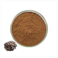 Hot Selling Top Quality 10:1 Natural Thai Black Ginger Extract Powder