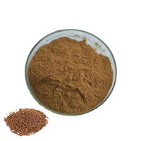 Hot Sale Anthraquinone 5%  Cassia Seed Extract 10:1 Natural Semen Cassiae Powder