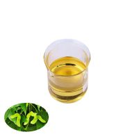 Pure Acer Seed Oil Nervonic Acid Acer truncatum buge seed oil