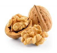 Chinese top grade wholesale cheap price yunnan 185 in shell walnuts kernels