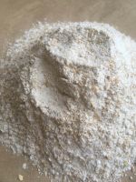Quality Whole Wheat Flour For Export Wheat Flour 50kg