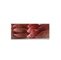 best qualiy bulk supplies high quality sea bream fish frozen  red seabream sea-bream fish for sale