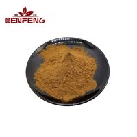 Organic Korean Red Ginseng Root Extract Powder 10:1