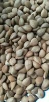 almond nuts organic bitter almonds raw natural best selling top quality food grade nuts kernels almond