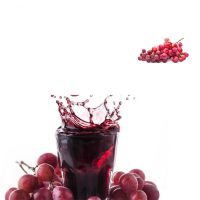 bulk suppliers freeze dried grape juice powder organic red concentrate  grape juice powder for sale