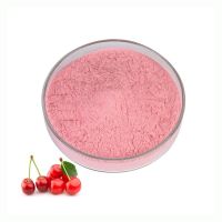 Bulk Acerola Cherry Fruit Extract 17%-25% VC Powder Pure Acerola Cherry Juice Powder