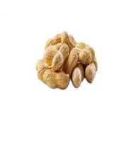 high quality dry organic raw peanuts in shell for sale packing in boxes hot sale peanut groundnut seed blanched peanuts