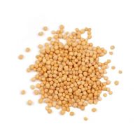 whl yell black yellow white mustard seeds packing in bags for sale mustard seed oil  indian mustard seeds  yellow