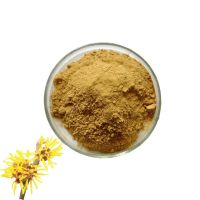 Hot Selling Hamamelis Virginiana Extract Powder Natural Organic Witch Hazel Extract