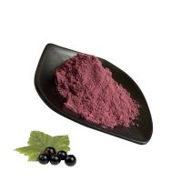hot selling Best Quality  Maqui Berry Powder fruit powder Maqui Berry fruit juice powder