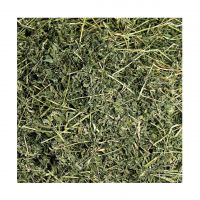 High Quality Alfalfa Hay Grass / Alfalfa Hay Bales Available For Sale At Low Price