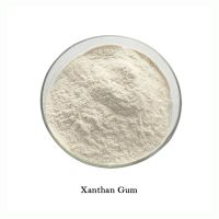 Wholesale Bulk Industrial/Food Grade Xanthan Gum 200 Mesh Xantham Gum Powder