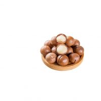 south africa best-selling Top quality importers organic hazelnut for sale igh quality pure natural raw food grade organic