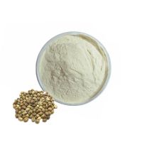 Quality Supplier Wholesale Health Food Grade Hemp Seed Extract Powder Hemp Seed Protein Powder