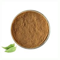 ISO High-Quality Eucalyptus Leaf Extract Pure Natural 10:1 Eucalyptus Extract Powder