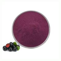 Pure Natural Bulk Aronia Extract 25% Anthocyanin Aronia Berry Juice Powder