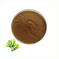 Factory Supply Fucus Vesiculosus Extract For Weight Loss Fucus Algae Extract