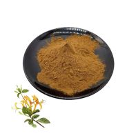 Pure Natural Honeysuckle Extract Powder Herbal Plant Extract Honeysuckle Extract