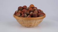 Suppliers Roasted Hazelnut Cobnut Dry hazelnuts for sale bag OEM shell Box Style Packaging hazelnut shell