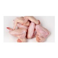 Top Quality frozen Chicken Feet / Frozen Chicken Paws Brazil/CHicken Wings