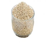 white sorghum juvar grains at bulk price for worldwide importers safe and reliable grain sorghum sales white sorghum