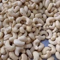 top quality Crop Style Good Packaging Prompt Raw Origin Vacuum Type Quality High raw cashew nuts for sale