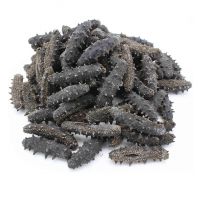 Top Quality Dried Sea Cucumber (Seafood) For Sale At Best Price