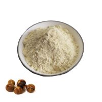 High Quality Camellia Seed Powder Camellia Seed Extract 60% Tea Saponin Powder