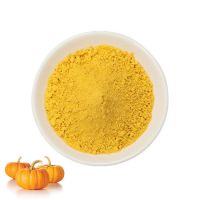 Wholesale bulk food grade Organic Pumpkin Powder Dehydrated Pumpkin Powder