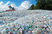 Plastic Scrap Bottles and PET Flakes All Available