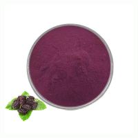 Factory Supply Mulberry Fruit Extract Powder 100% Natural Mulberry Fruit Powder