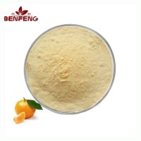 Wholesale Bulk Orange Juice Powder High Quality Fruit Powder Orange Powder