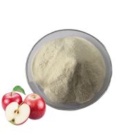 Super Low Price Green Apple Juice Powder Water Soluble Apple Powder Food Grade