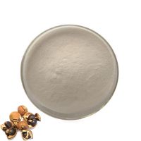 wholesale healthcare supplement pure Camellia Oil Microcapsule Powder bulk Camellia Oil Microcapsule Powder