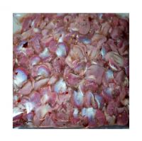 Hot sales - Frozen Chicken Gizzards / Whole Broiler Chicken For sale