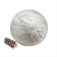 Bulk Instant Sugar Cane Extract Powder High Quality 99% Sugar Cane Juice Powder