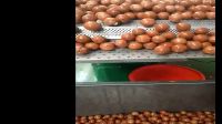 Wholesale custom private label macadamia nuts kernel wholesale kernels food grade prices cream white 25kg 25tons macadamia nut