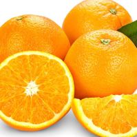 premium grade import navel orange with wholesale price for sale packing in boxes  fruit  dry orange fruit  orange fresh