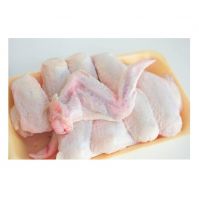 Top Quality frozen Chicken Feet / Frozen Chicken Paws Brazil/Chickens Wings