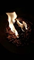 pellet burner biomass high efficiency and energy saving wholesales wood pellets fuel prices for sale