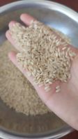 Wholesale custom private label broken long grain 1kg 2kg 5kg 25kg 50kg basmati rice 1121 16.5x18x13.5inch long grain white rice