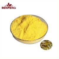 Phellodendron Amurense Extract 97% Berberine Hydrochloride Powder Berberin hcl