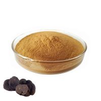 Wholesale bulk black truffle Powder plant extract perigord truffle Extract powder