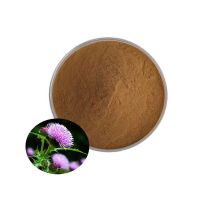 Wholesale Silybum Marianum Extract 10:1 Milk Thistle Seed Extract Oil for Healthcare
